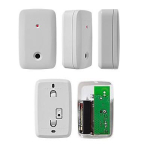 DETECTOR RADIO PARADOX G550