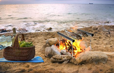 GRATAR PORTABIL 30 CM