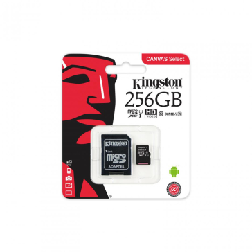 MICROSDXC 256GB CL10 UHS-I SDCS/256GB