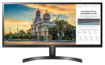 MONITOR 29