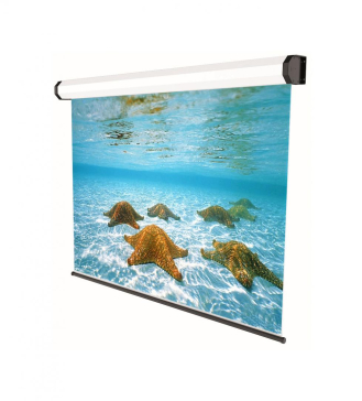 PJ SCREEN SOPAR ELECTRIC PROF 300*225