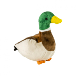 PluÈ™ raÈ›Äƒ sÄƒlbaticÄƒ, 15 cm