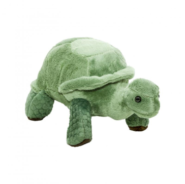 PluÈ™ È›estoasÄƒ, 20 cm