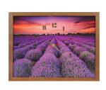 TABLOU CU CEAS INRAMAT 30X40 CM LAVANDA